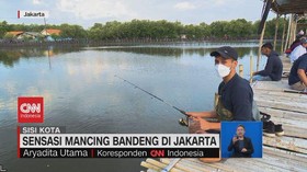 VIDEO: Sensasi Mancing Bandeng di Jakarta