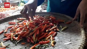 VIDEO: Harga Cabe Merah Makin Pedas Di Pasar Parung Panjang Bogor