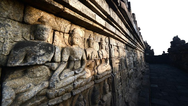 Studi terbaru menunjukkan relief-relief di Candi Borobudur dapat mengungkap lebih dari 80 spesies flora dan fauna. Simak penjelasannya.