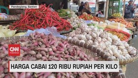 VIDEO: Harga Cabai Kian Pedas, Capai 120 Ribu Per Kilo