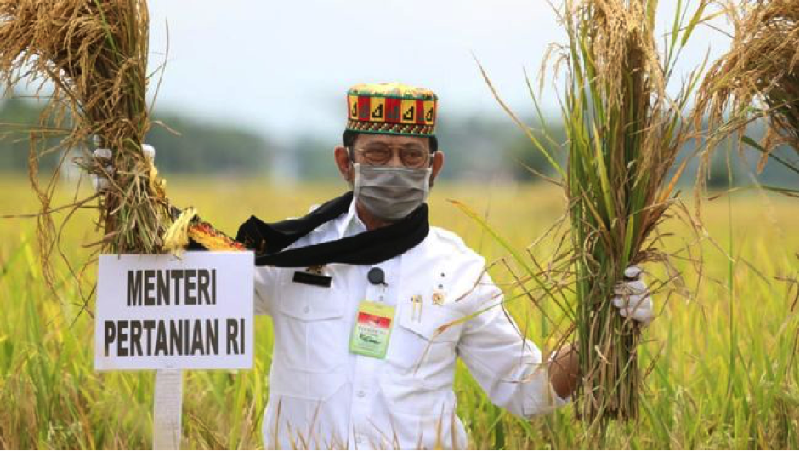 KTNA Apresiasi Keberhasilan Kementan Angkat Produktivitas Pertanian