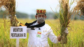 KTNA Apresiasi Keberhasilan Kementan Angkat Produktivitas Pertanian