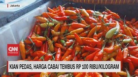 VIDEO: Kian Pedas, Harga Cabai Tembus Rp.100 Ribu per Kilogram