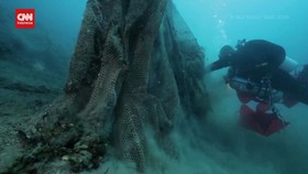 VIDEO: Lebih dari 23 Ton Limbah Laut di Yunani Berhasil Dikumpulkan