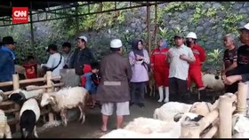 VIDEO: Pemkot Bogor Isolasi 400 Ekor Sapi dan Tutup Pasar Hewan
