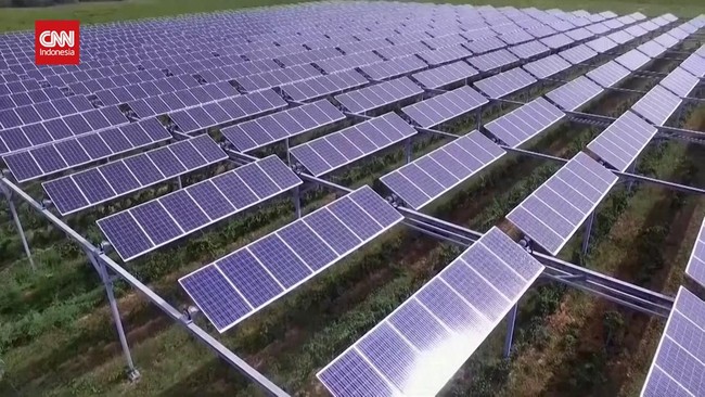 Investor Korea Selatan berminat untuk membangun pabrik panel surya di Kawasan Industri Buluminung (KIB) di Kabupaten Penajam Paser Utara, Kalimantan Timur.