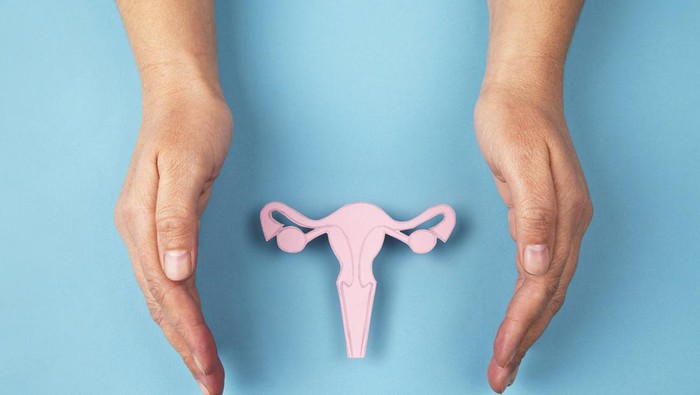 Perempuan Wajib Tahu Hiperplasia Endometrium, Kondisi Abnormal Reproduksi yang Bisa Bikin Menstruasi Tahunan!