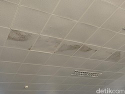 Hujan Makin Deras, Yuk Simak Tips Cara Atasi Rumah Bocor