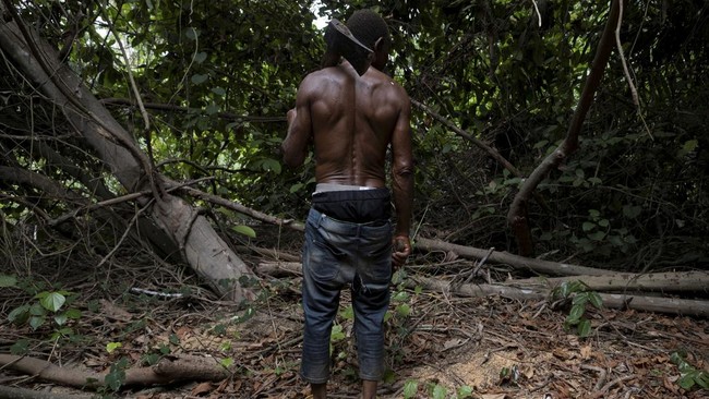 FOTO: Kisah Marigi Cari Nafkah di Hutan di Nigeria yang Kian Botak