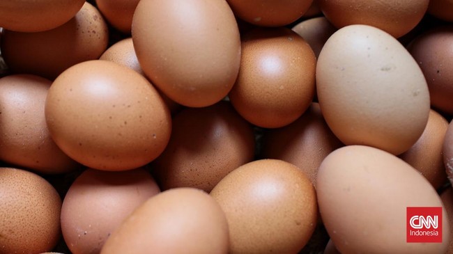 Badan Pangan Nasional (Bapanas) angkat suara soal lonjakan harga telur beberapa waktu terakhir.