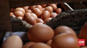 Harga Telur di Makassar Melonjak Jadi Rp55 Ribu per Rak