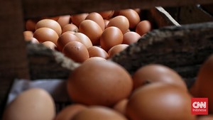 Harga Telur Ayam Naik, Tembus Rp31 Ribu per Kg di DKI
