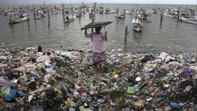 Cacing Super Pengunyah Styrofoam, Solusi Sampah Plastik ala Australia