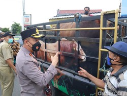 Ada Temuan PMK, Polisi di Blitar Dirikan Pos Pengawasan di Perbatasan