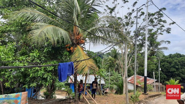 Cerita warga Papua yang menjemur baju di kabel listrik karena proyek PLN mangkrak sejak 2019.