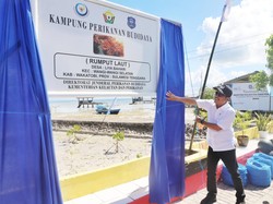 Jurus KKP Genjot Produksi Kawasan Budidaya Rumput Laut di Wakatobi