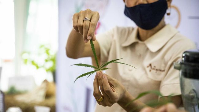 Hati-Hati Bunda, Sekarang Boleh Jualan Ganja di Twitter