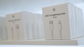 Tiru Uni Eropa, Para Senator Dorong Regulasi Satu Charger AS