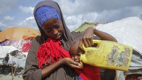 FAO: 3,1 Miliar Orang Terancam Tak Bisa Beli Makanan