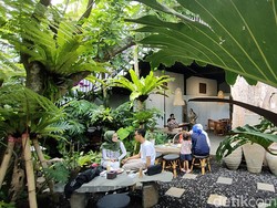 Di Kafe Baru Ini Bisa Ngopi dengan Suasana Hutan Asri dan Sejuk