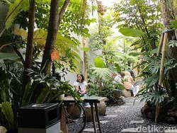 Kece! Ada Kafe Baru Bernuansa Hutan di Garut yang Fotogenik