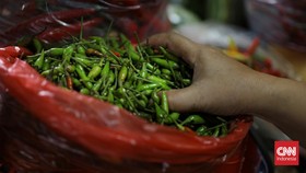 Harga Cabai Rawit Melejit