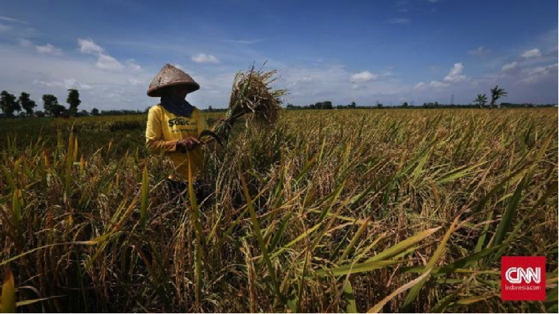 Gubernur Lemhanas Puji Kolaborasi Kementan-Kemendag Jaga Pangan