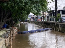 Misteri Ikan-ikan Mati di Kali Baru Kramat Jati