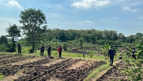 KPK Sita 8 Bidang Tanah Terkait Kasus Bupati Probolinggo dan Suami