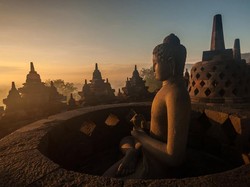Misteri Relief Flora-Fauna Candi Borobudur, BRIN: Belum Terpecahkan Sejak 1920