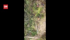 VIDEO: Momen Evakuasi Penumpang Helikopter Yang Jatuh di Papua