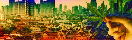 Berburu Ganja di Thailand