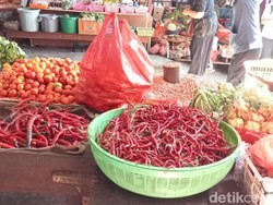 Harga Cabai di Palopo Tembus Rp 70.000/Kg, Disdag Ungkap Faktor Cuaca