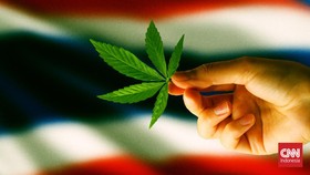 Thailand Negara Asia Pertama Izinkan Budidaya Ganja di Rumah