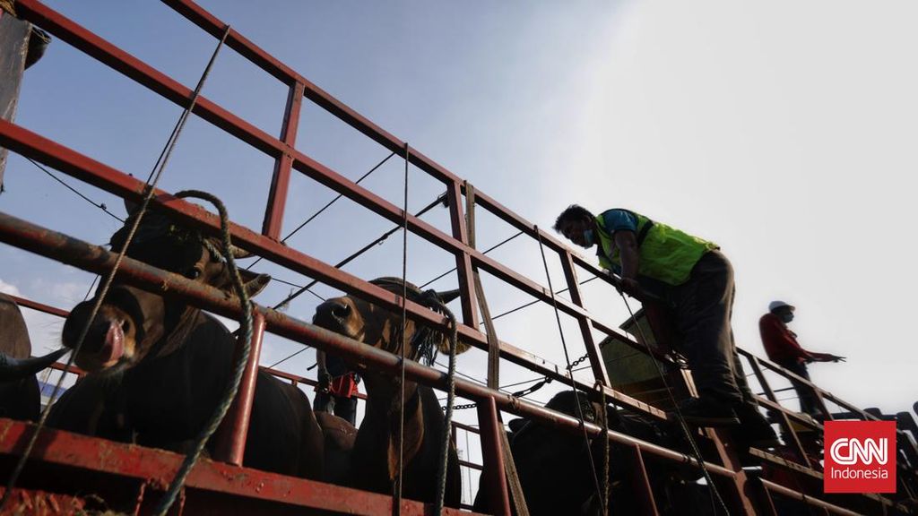 Demo Ratusan Jagal Bawa Sapi Geruduk DPRD, Tuntut Walkot Surabaya