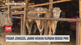 VIDEO: Pasar Jonggol Jamin Hewan Kurban Bebas PMK