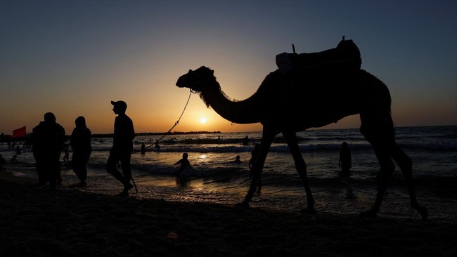 FOTO: Bercanda dengan Ombak di Pantai Kota Gaza yang Bebas Polusi