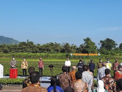 Resmikan Persemaian Rumpin, Jokowi Bicara Aksi Rehabilitasi Lingkungan