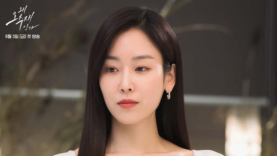 Seo Hyun Jin, Pemain Drama Korea Why Her