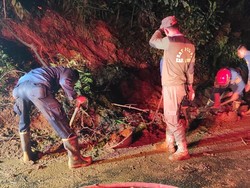 Jalur Puncak Bogor Longsor, Lalu Lintas Sempat Macet