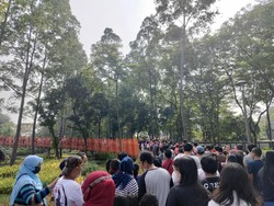 Antrean Panjang Pengunjung Tebet Eco Park demi Naik Jembatan Infinity