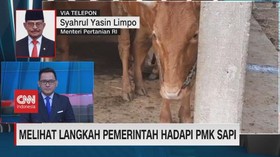 VIDEO: Mentan Tanggapi Soal PMK Sapi