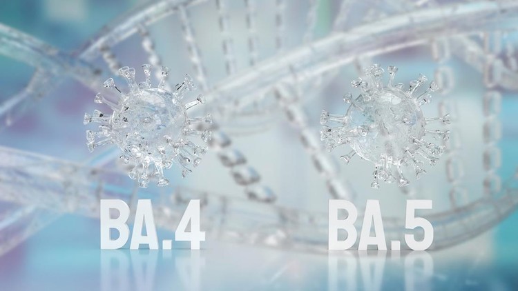 ilustrasi omicron ba.4 dan ba.5 omicron ba.4 and ba.5 for sci or medical concept 3d rendering