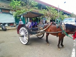 Awalnya Ratusan, Dokar di Jembrana Kini Hanya Tersisa 5 Unit
