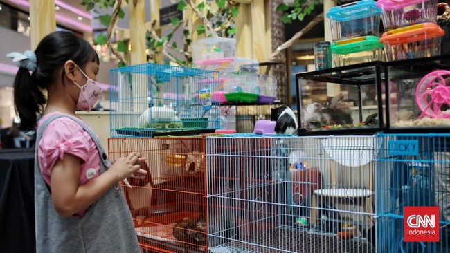 FOTO: Vaksin Gratis saat Pameran Hewan di Depok
