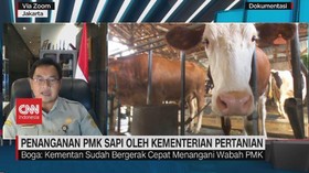 VIDEO: Kementan: Wabah PMK Harus Ditangani Dari Desa