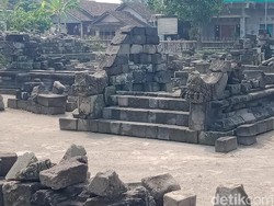 Candi Asu, Warisan Dunia yang Tersembunyi di Prambanan