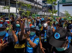 Momen Thailand Bagi-bagi 1 Juta Tanaman Ganja Gratis untuk Warga
