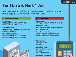 Catat! Tarif Baru Listrik Mulai 1 Juli 2022