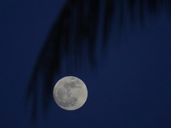 Foto NASA Ungkap Bulan Bopeng Bekas Dihantam Roket, Punya Siapa?